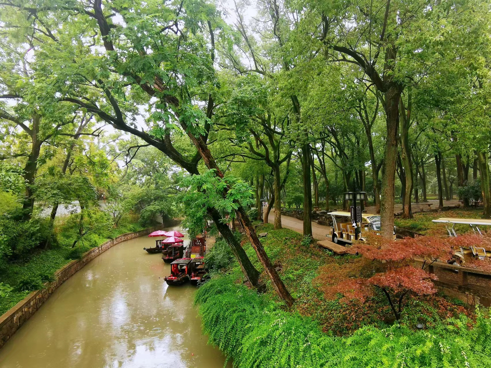 苏州虎丘茶花村,苏州最值得去的地方虎丘