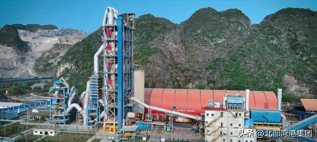 3家企业获全国表彰,3家企业入选省工业龙头企业名单