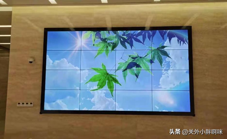 98-100寸高端电视推荐,65寸电视画质性价比之王