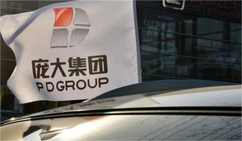 庞大退市估值分析,庞大退市后最新消息