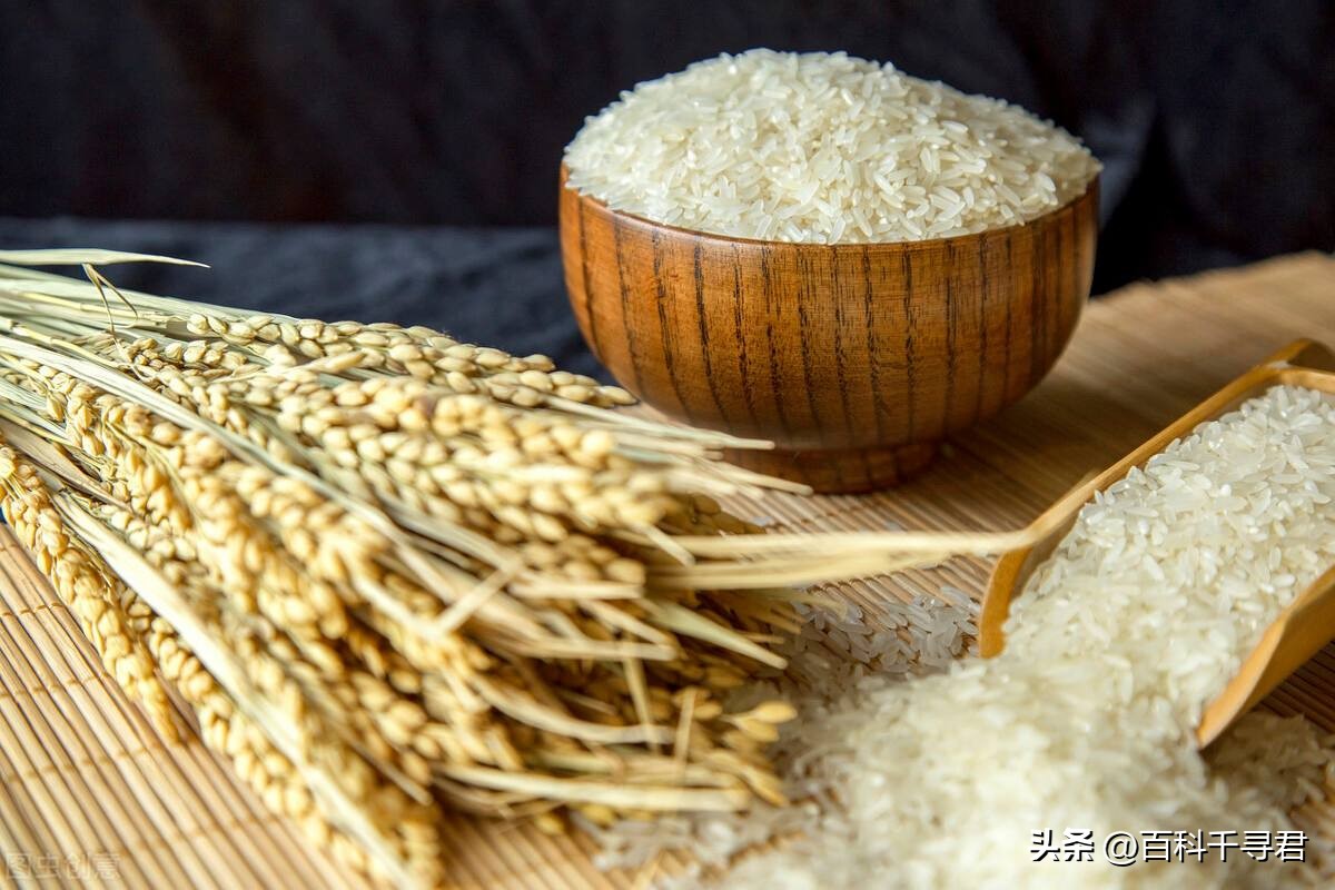 粮食产量对比表国家,粮食产量自给率