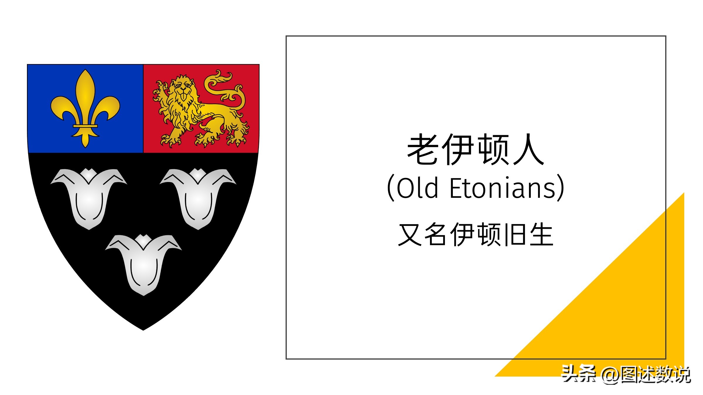 第一届足总杯,足总杯冠军最多的是哪个队