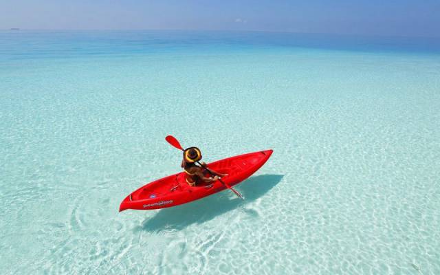 100个难得一见照片，砍伐巨树，运输军舰的巨轮，治疗风湿病的熊