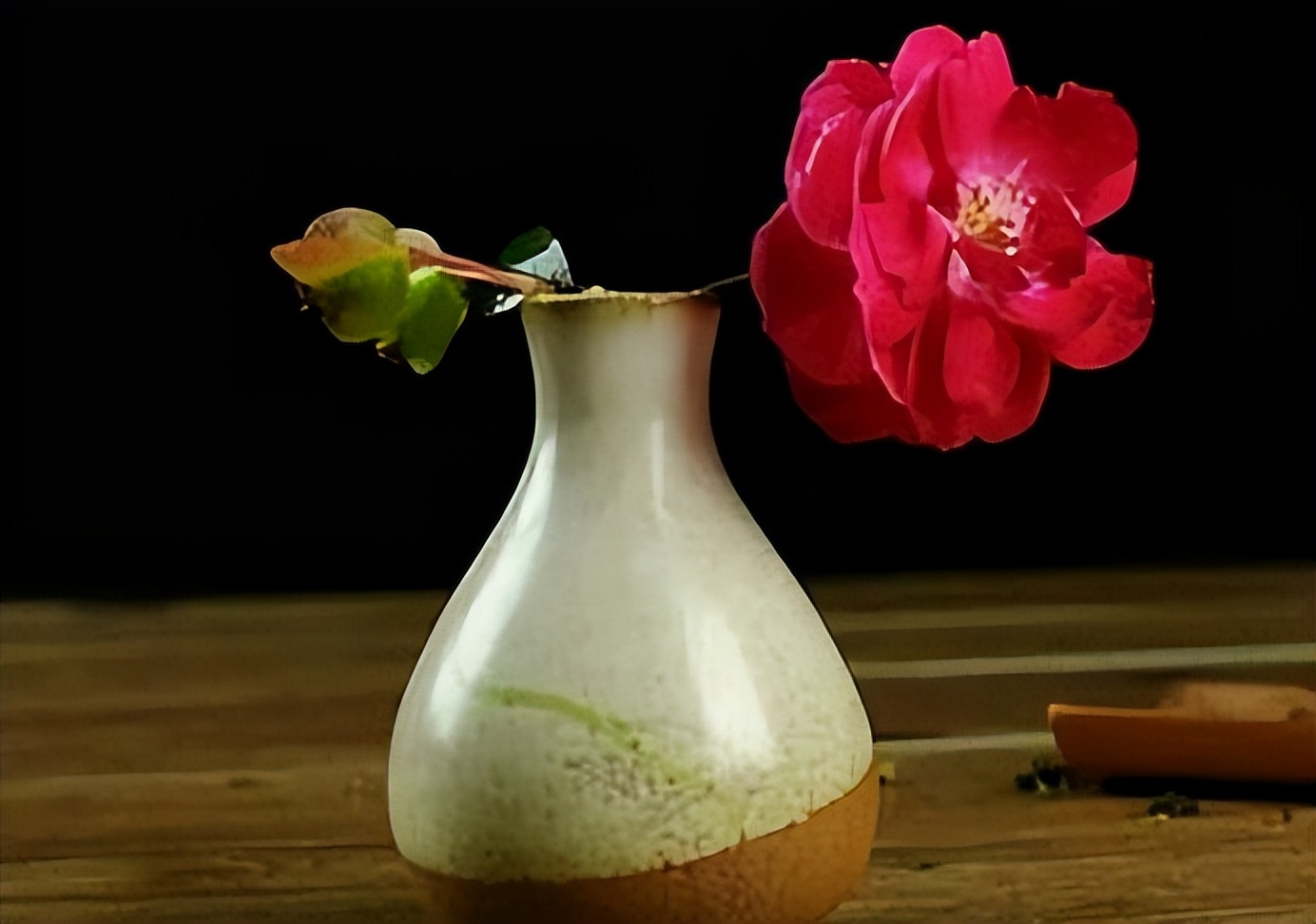 什么东西都舍不得扔是一种病,舍不得扔东西的人性格