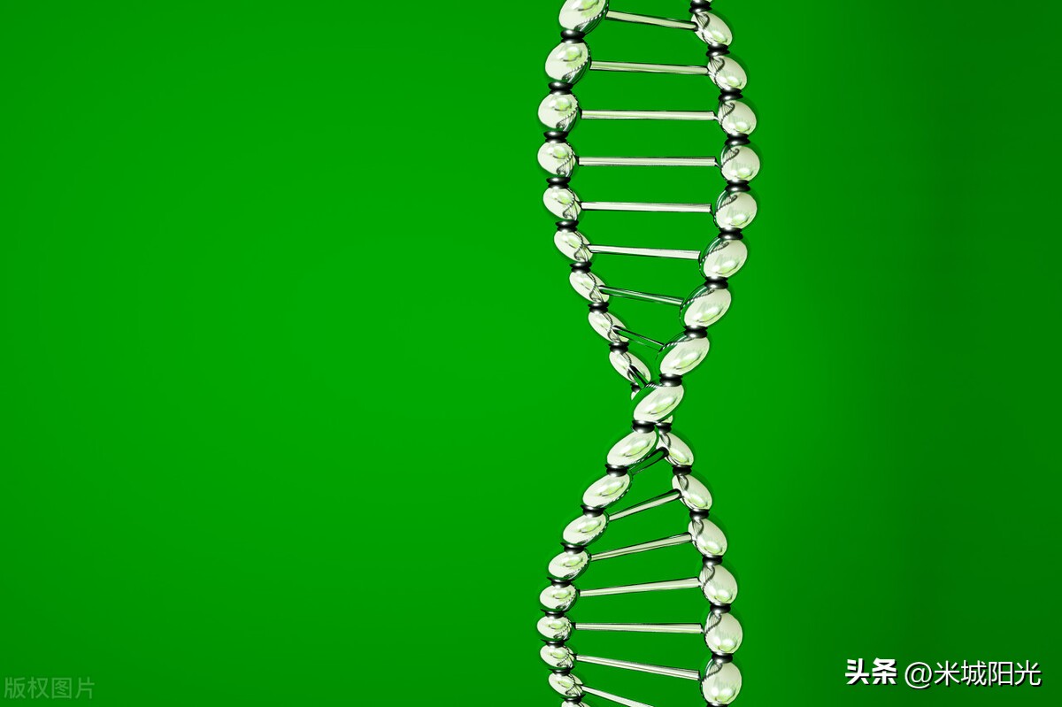 遗传学证实生男生女,生男生女到底是由什么原因决定的