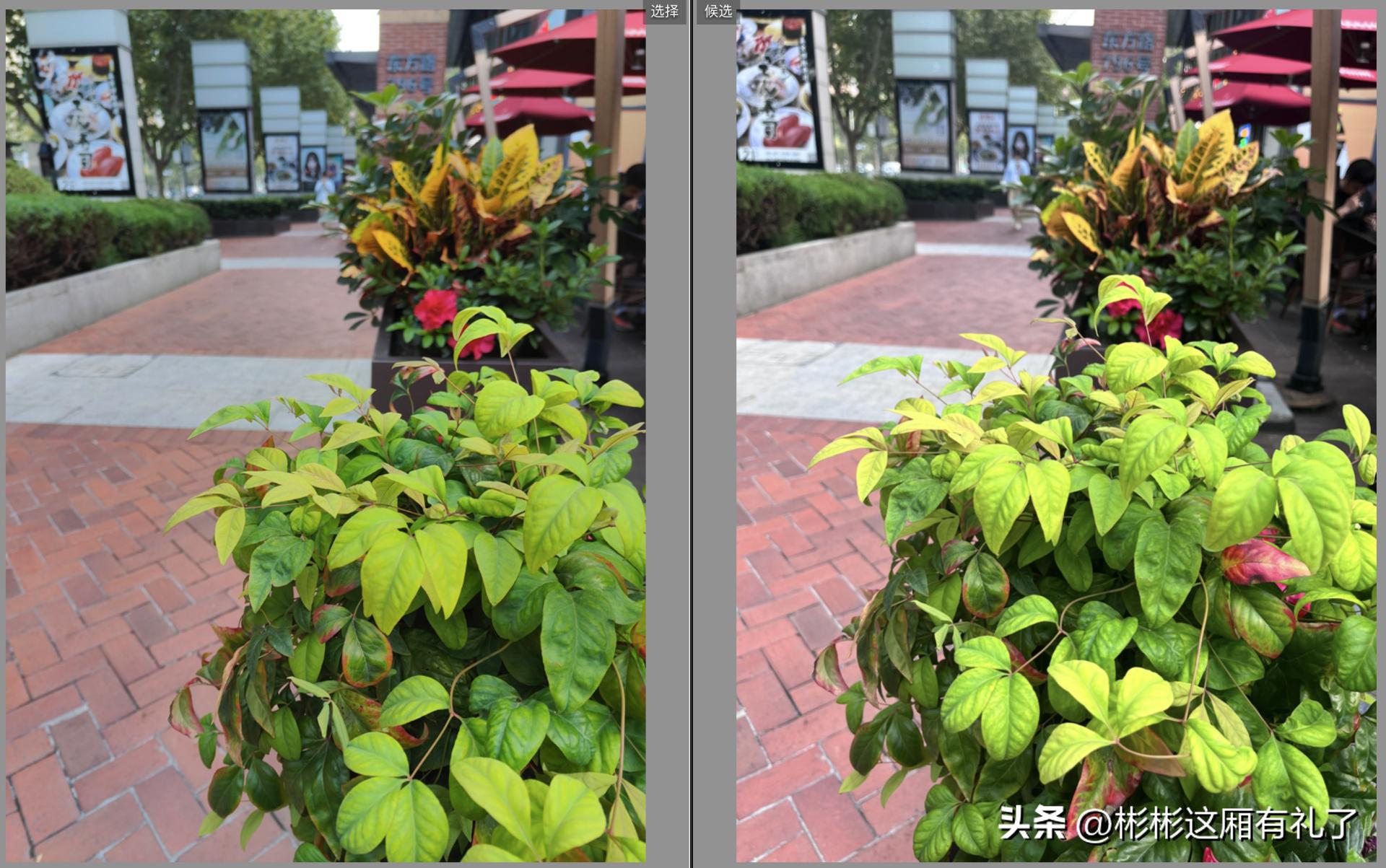 出门必带的10种冷门物品,这才是出门必带的东西