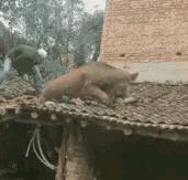 女孩子问我404是什么意思,女孩子说404是什么意思