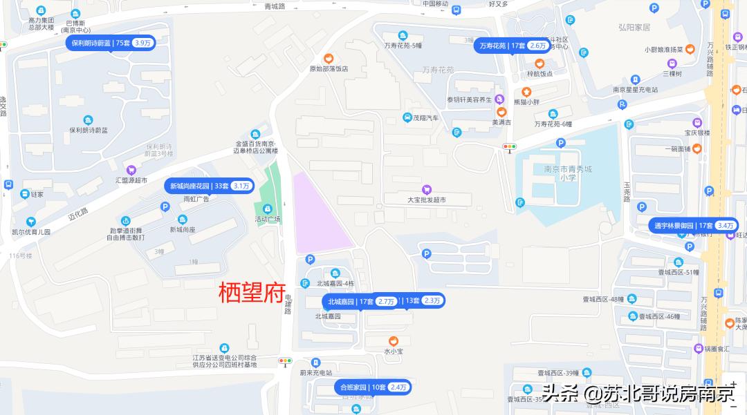 南京富园栖望府开盘售罄,南京富园栖望府什么学区