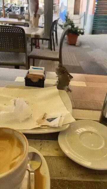 搞笑趣图:父亲是不是都比儿子聪明，爱迪生的爸爸怎么没发明灯泡