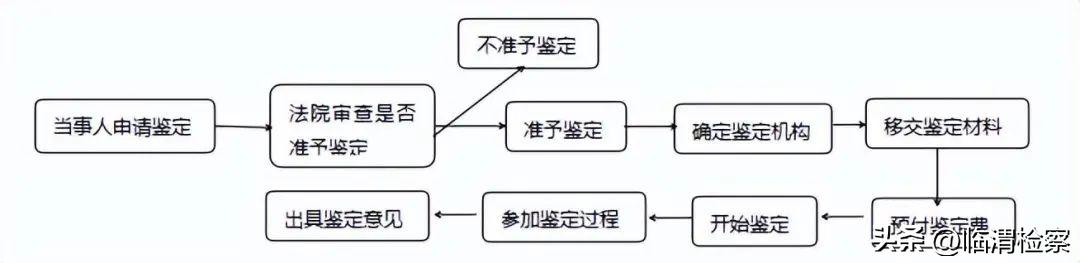 医疗司法鉴定陈述材料,车损司法鉴定准备材料