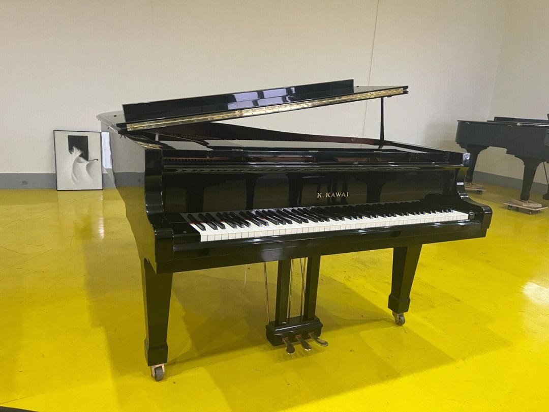 钢琴的兴起与欧洲钢琴音乐的发展