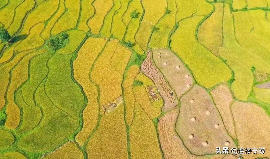 粮食怎么办,怎么解决粮食问题