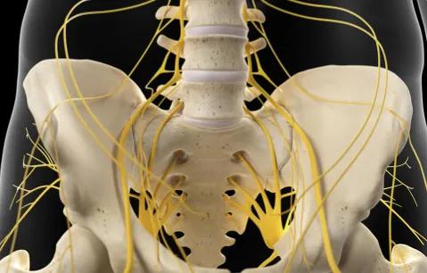 站桩开前胯还是开后胯,站桩如何开后胯