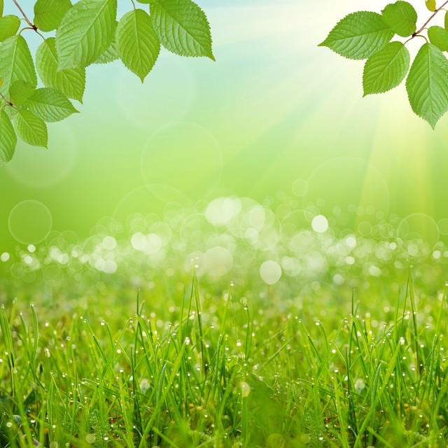 当女人接受你的钱和礼物代表什么,当一个女人要求你给她隐私和尊重