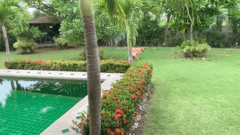 泰国购买二手房注意事项,泰国二手别墅最便宜的什么价格