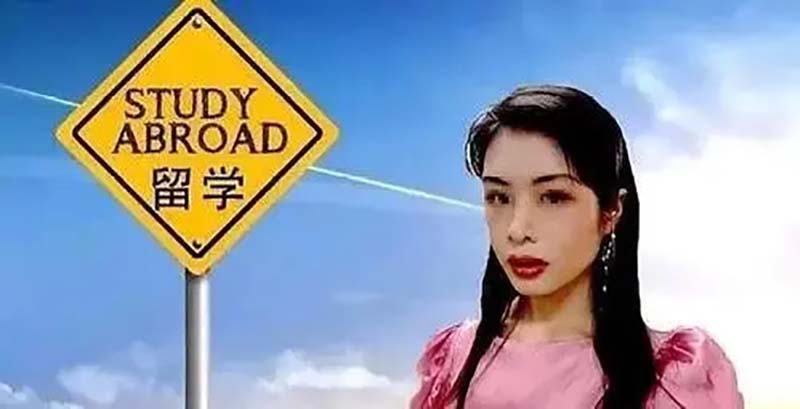 美国空气女孩杨舒平后续,空气女杨舒平后续