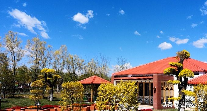 电商店铺运营思路规划,电商运营规划思维导图