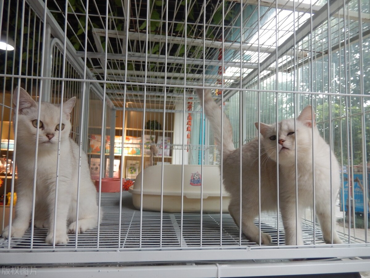 以后越来越赚钱的几个小生意，女生一定要看