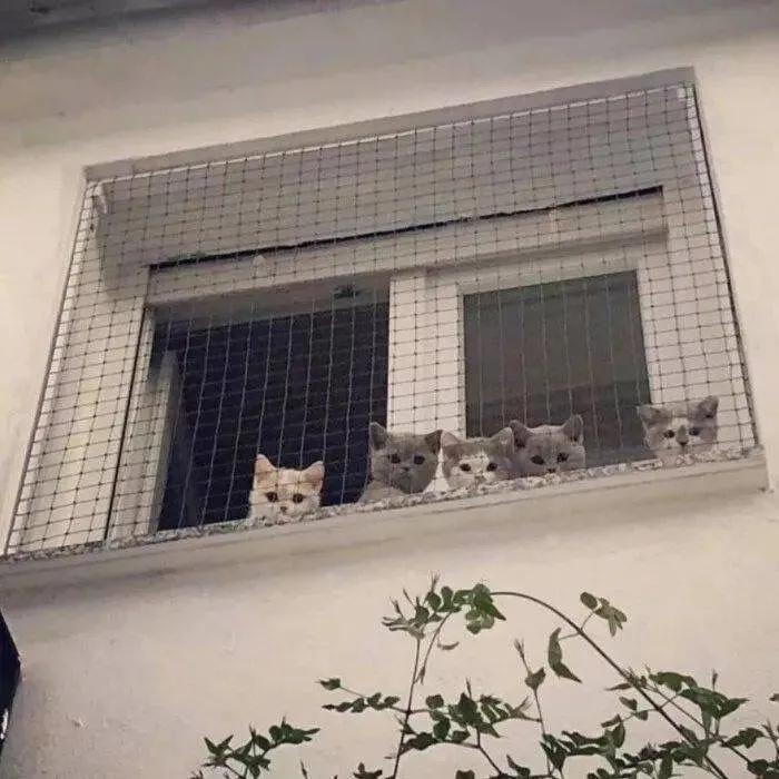 朋友圈背景图留给未来的你,朋友圈背景图你是我的光