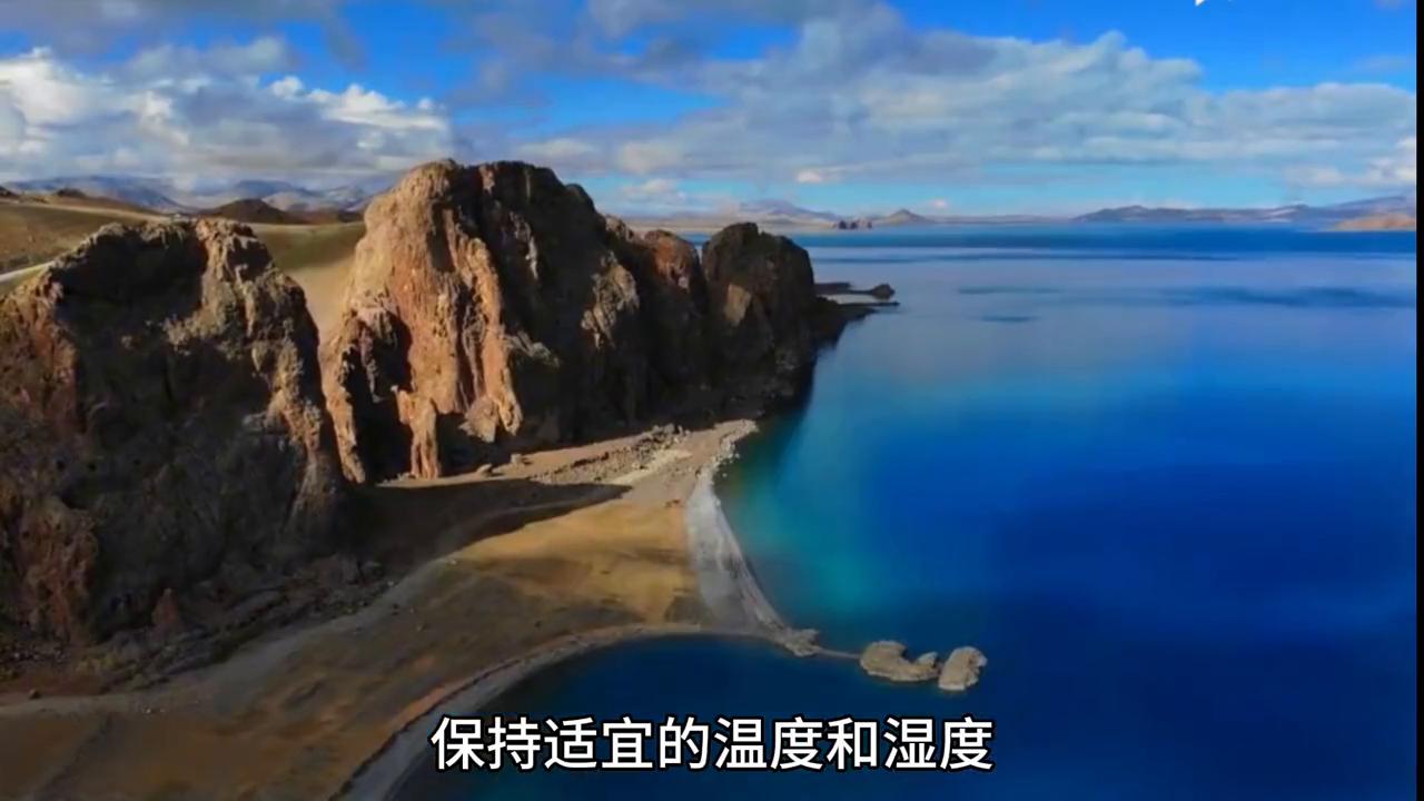 孩子感冒发烧了怎么办小儿推拿,孩子感冒发烧食谱大全