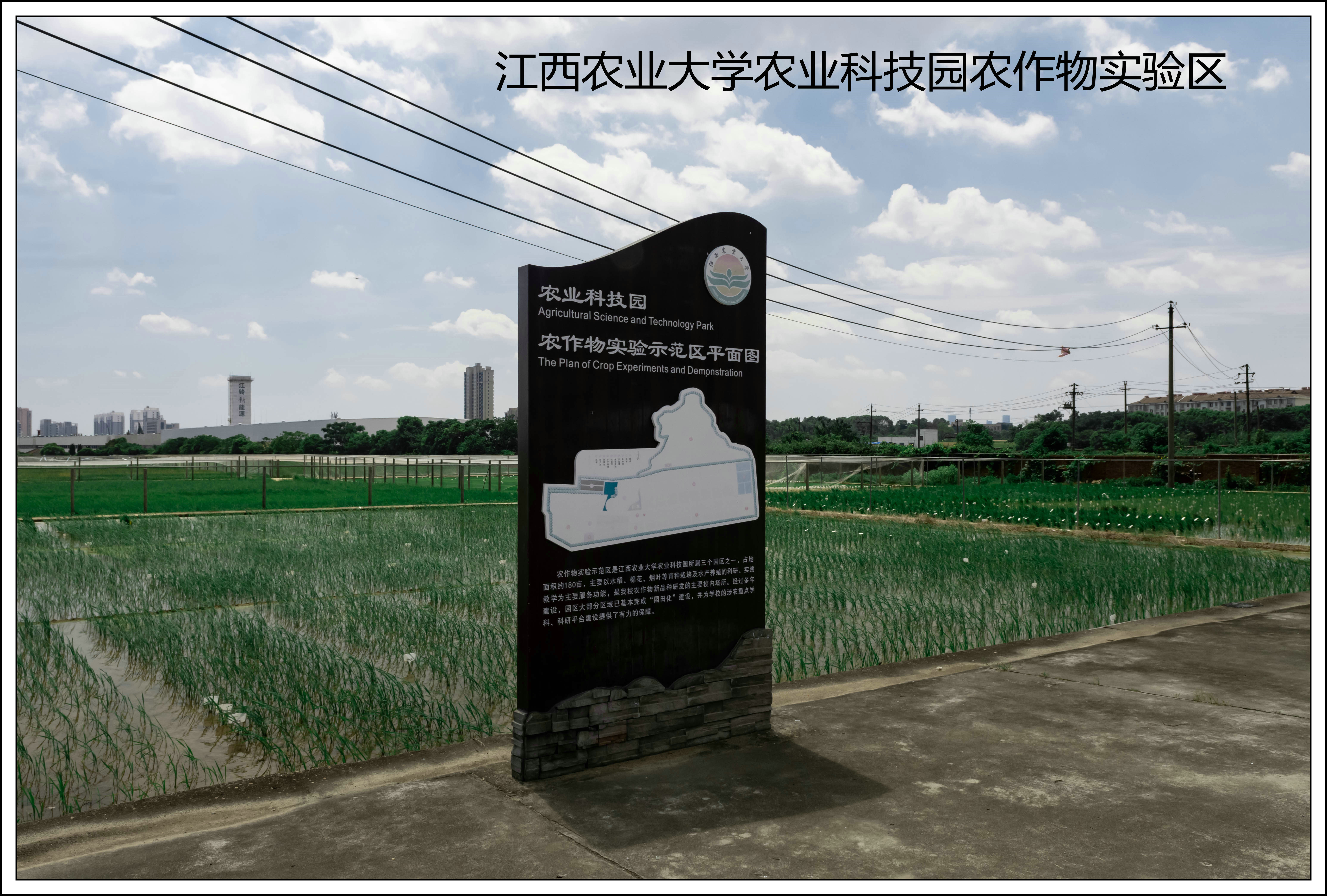 江西农业大学南区排名,江西农业大学探校