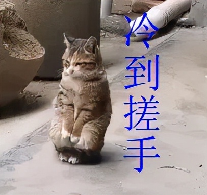 今天珠海冷空气预警,珠海天气最冷是多少度