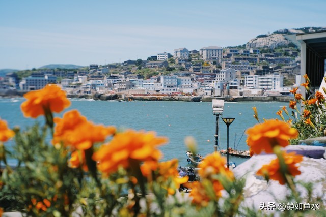 舟山嵊泗岛好吗,舟山嵊泗岛美食