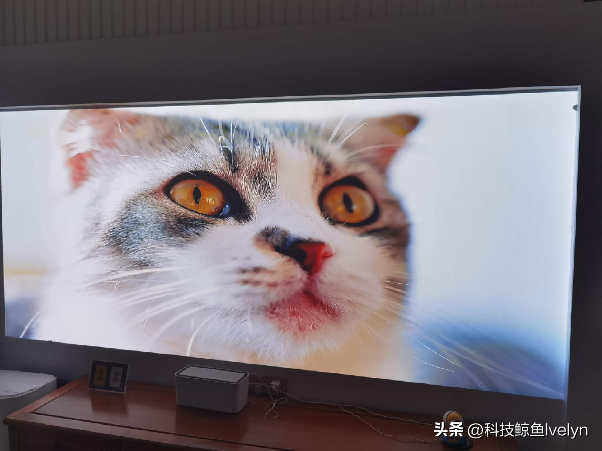 aoc投影仪k1s帝瓦雷,帝瓦雷k1s