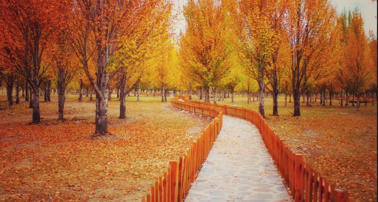 滇藏西自驾,西行滇藏自驾游