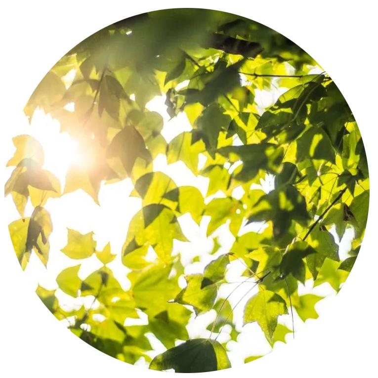 一寸光阴一寸金,一寸光景一寸金