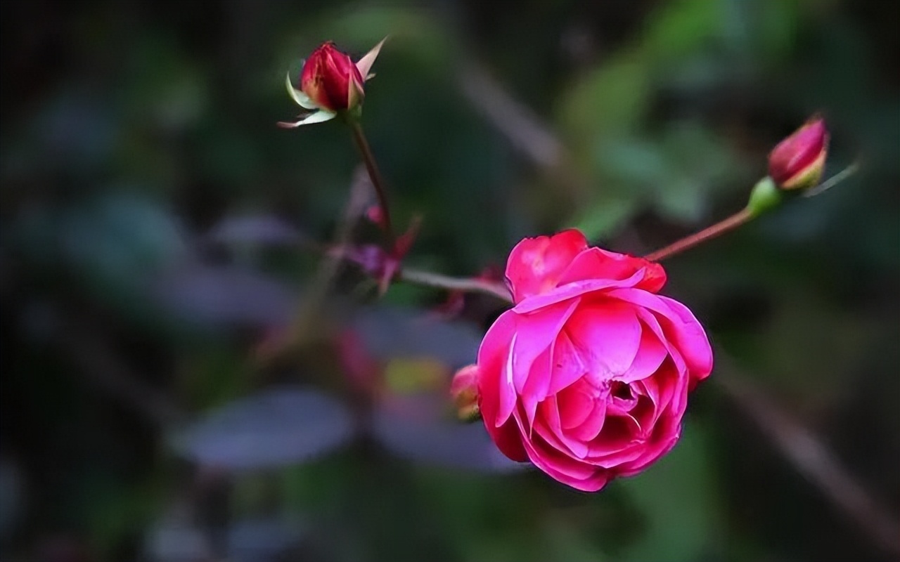 为什么说婚前不谈钱的女人，反而令男人爱不起来？