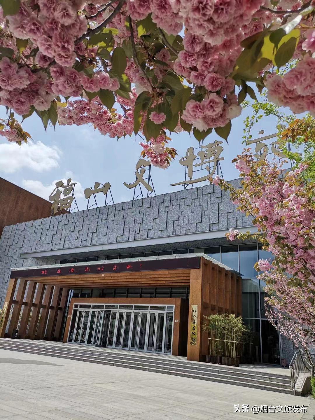 烟台2018年赏花攻略全集,春天烟台赏花地点推荐芝罘区