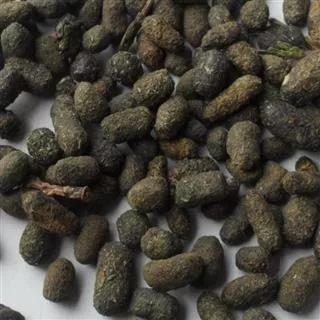 中草药识别,中草药手抄报