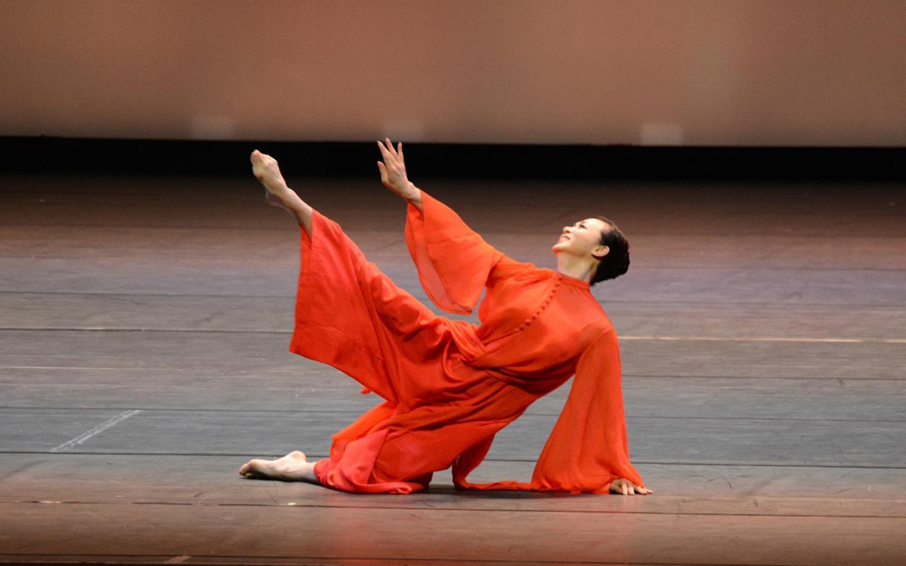 金星做变性手术都经历了什么,金星做变性手术的节目