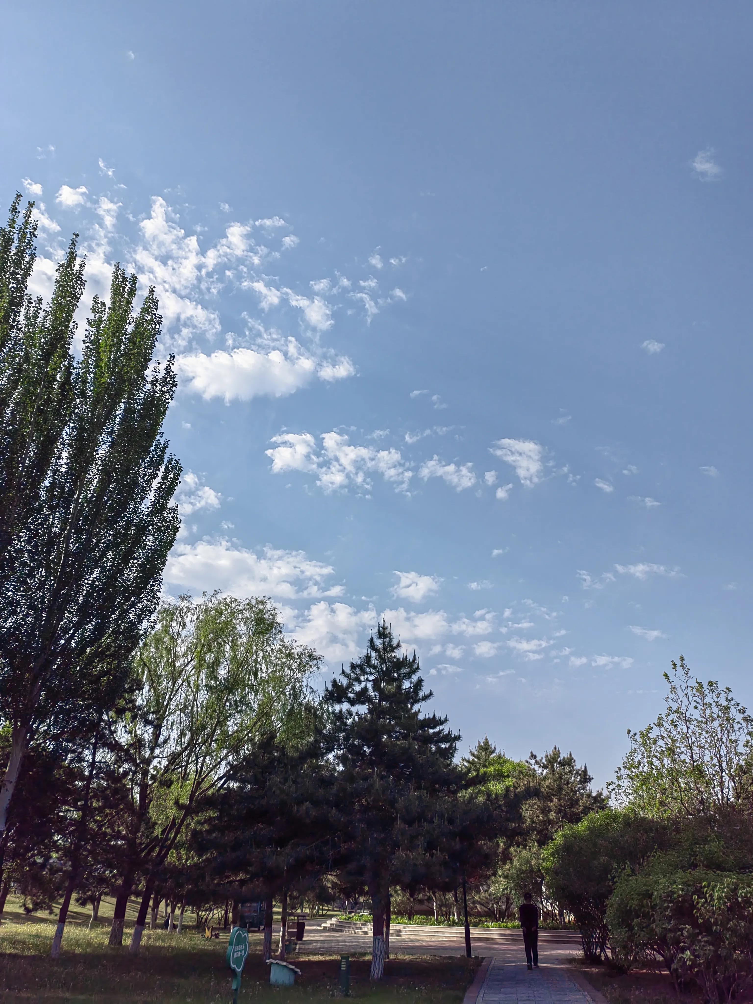 初二英语语法句子成分,英语语法句子成分思维导图