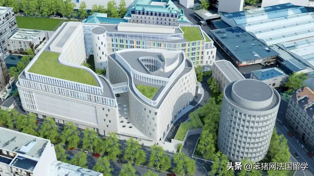 笨猪法语中文,笨猪法语