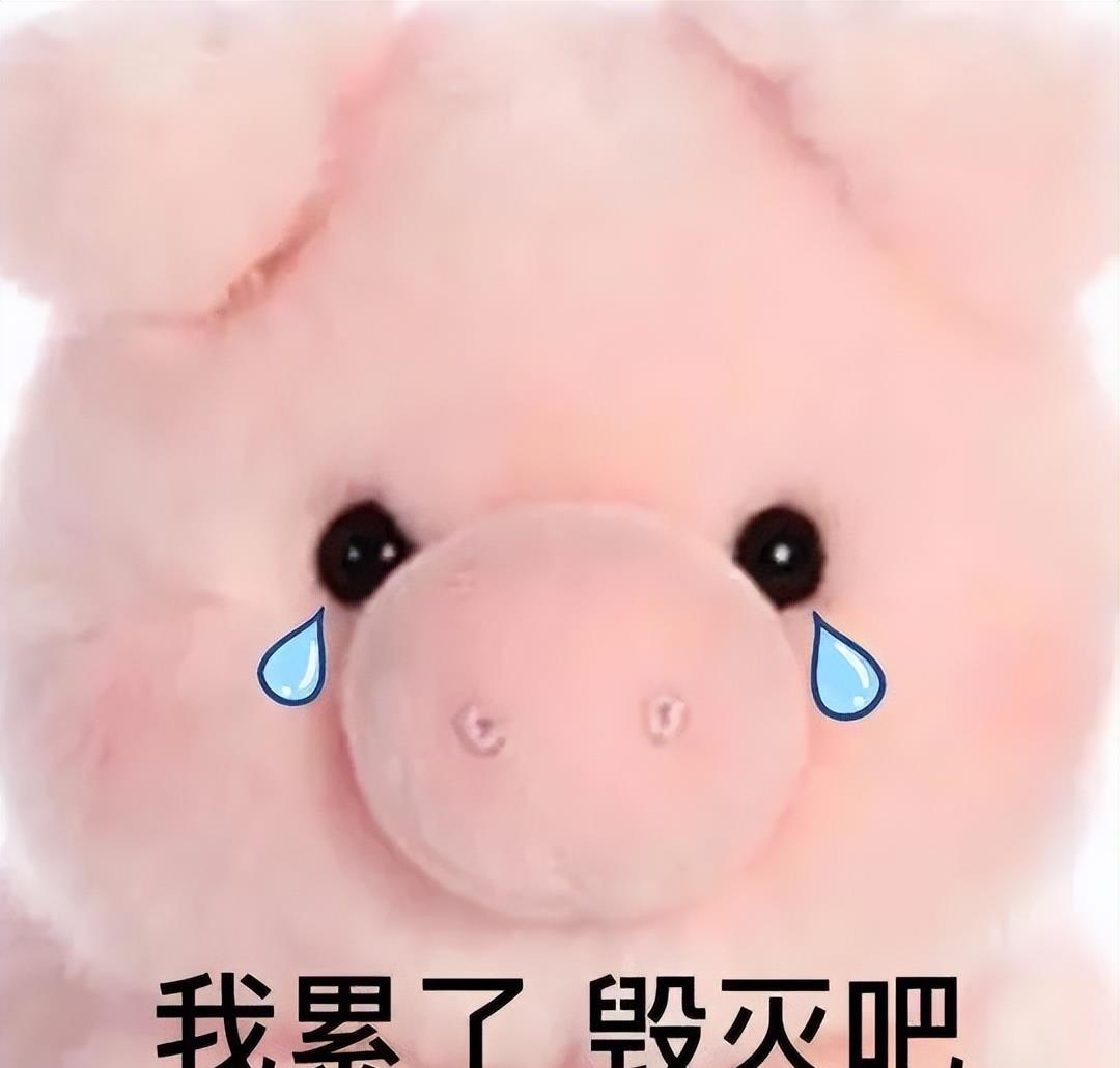 轻松塑造魅力四溢的吸睛全身照,全身照脸特别大