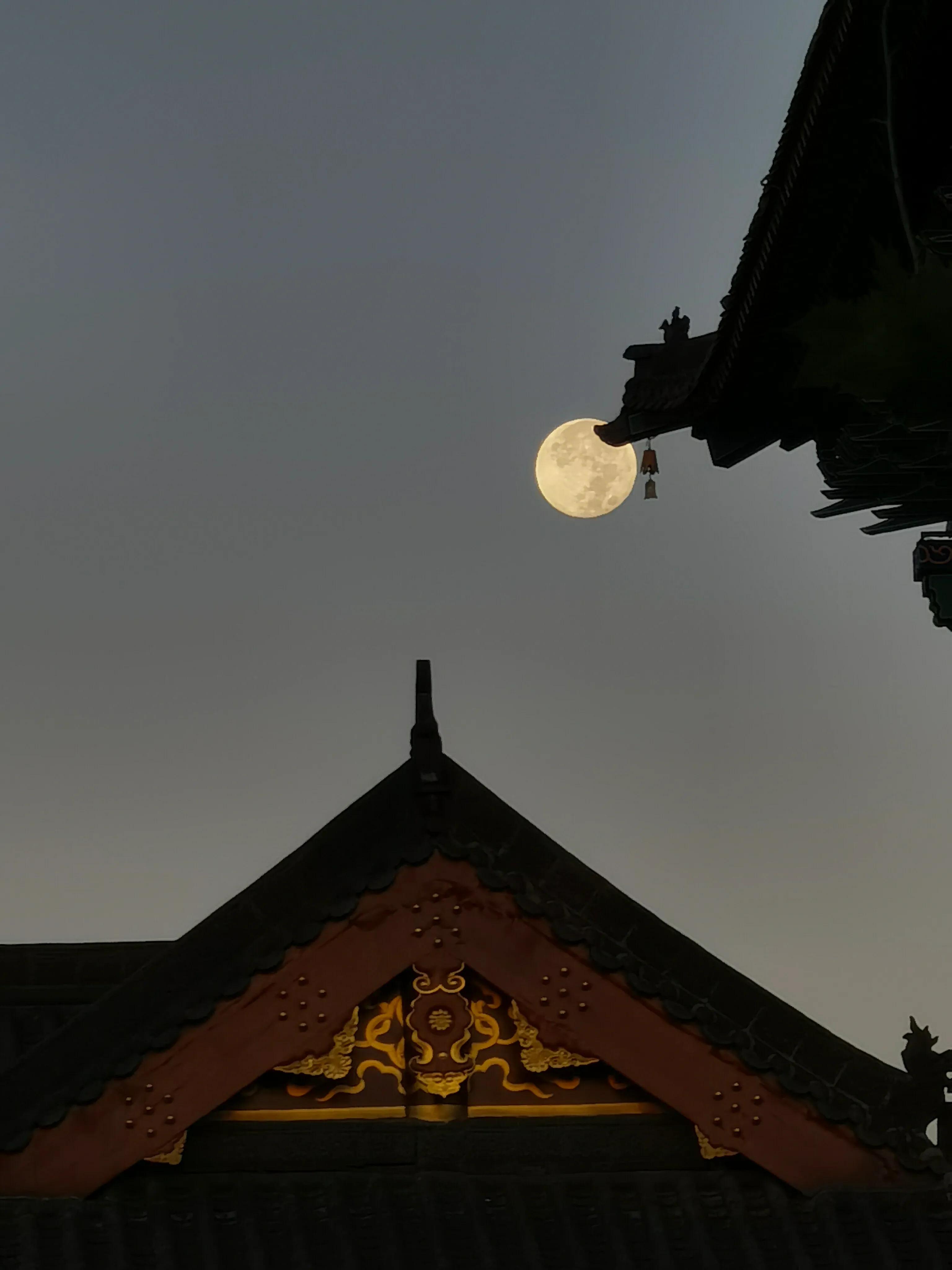 手拍世界手机摄影平台,手拍世界摄影网