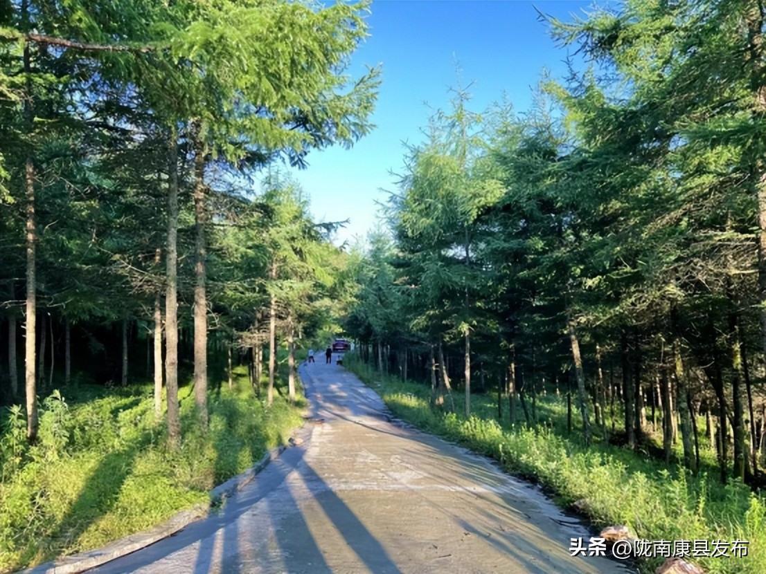 全市三抓三促十大举措,三抓三促推动党建走深走实