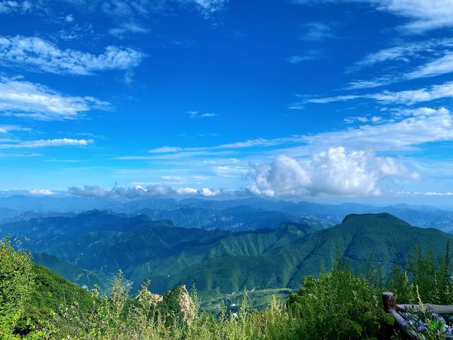 王永利生活视频,王永利清华大学