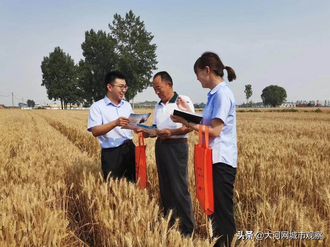 扎根鹤壁71年持续贡献金融力量——鹤壁市农信社服务地方经济发展纪实