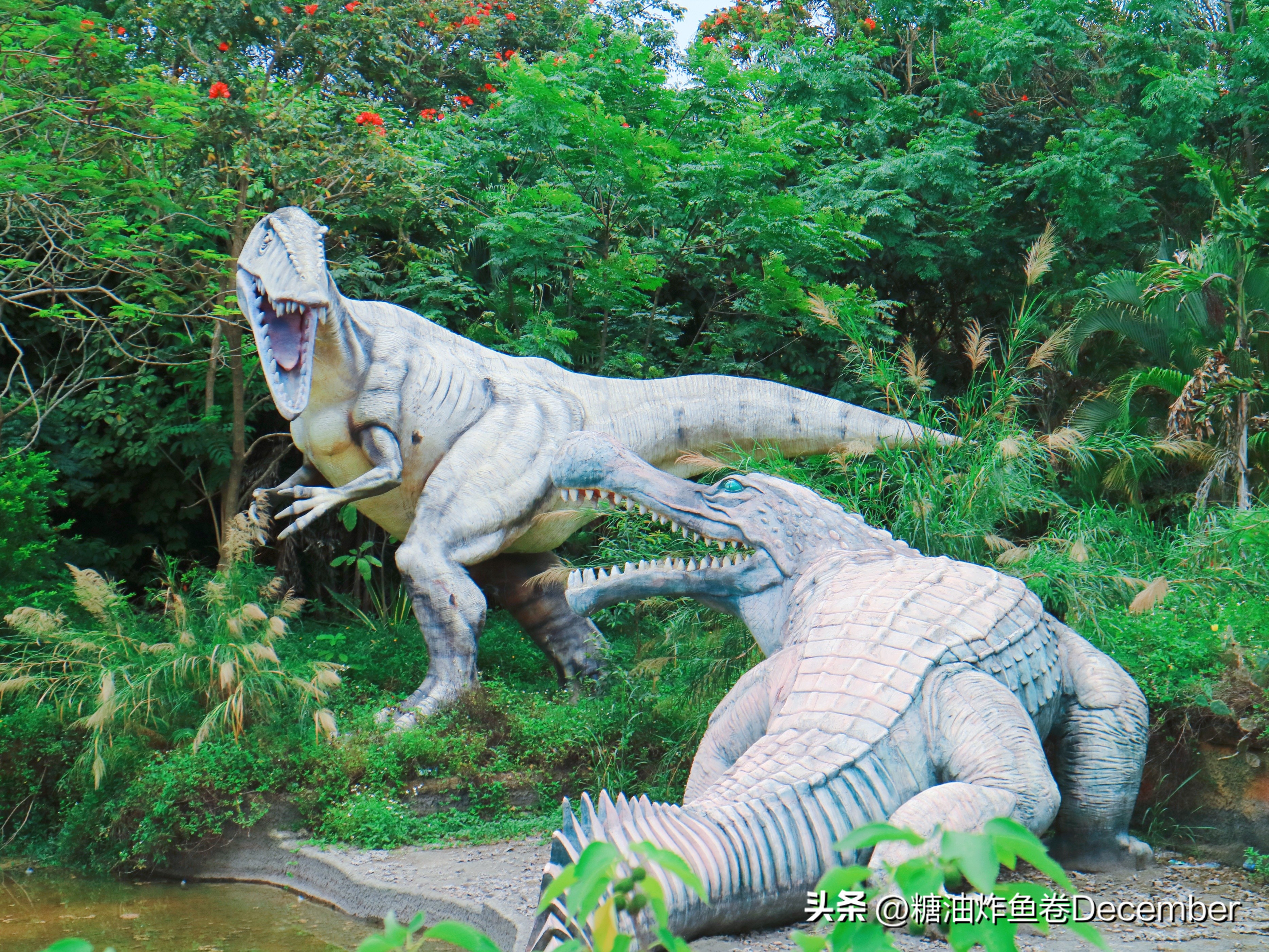 扶绥龙谷湾恐龙公园游玩攻略,扶绥龙谷湾恐龙公园在哪里