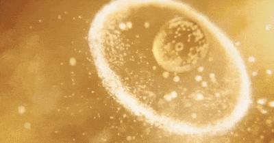 细软易掉用什么洗发水养发,长发小寨洗发水是真的吗