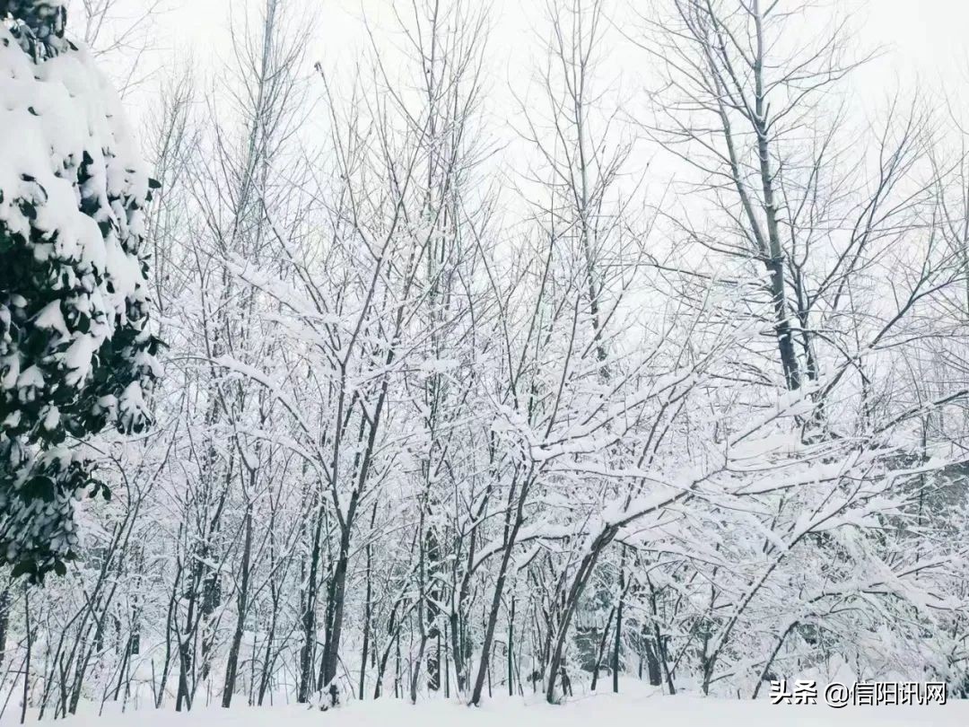 信阳航空职业学院南湾校区项目,信阳航空职业学院就业前景如何