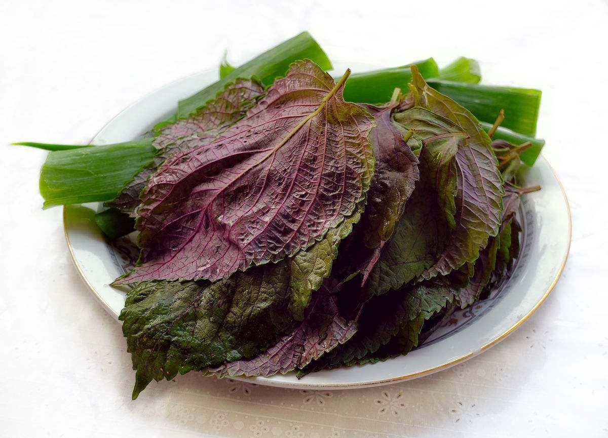 夏天身上总是出汗有没有办法,夏天不出汗冬天出汗是怎么治疗