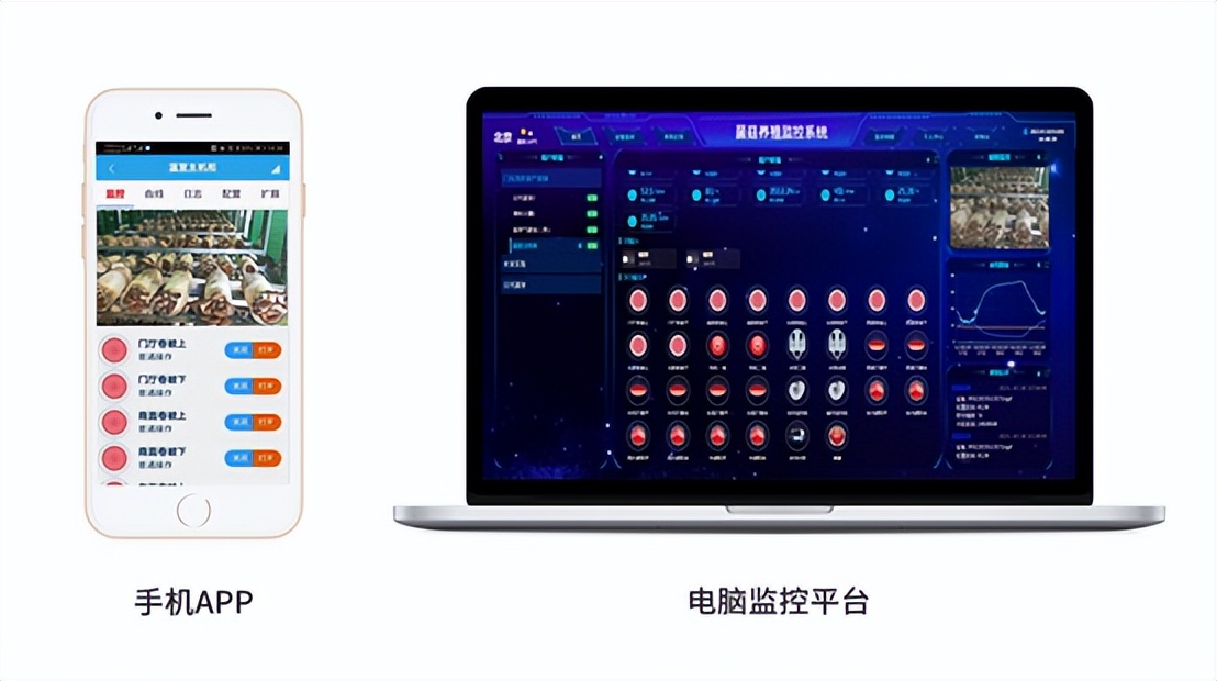 智能食用菌温室大棚自动系统,食用菌智能大棚