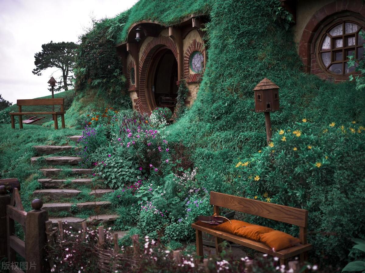 值得收藏价值高的书,一本价值不可估量的书