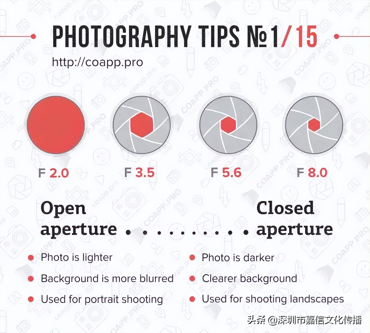 摄影的基础知识题目,摄影的基础是什么