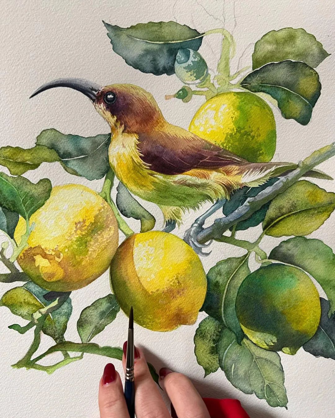 大神级水彩作品看完肯定不后悔,40张笔触狂放的水彩