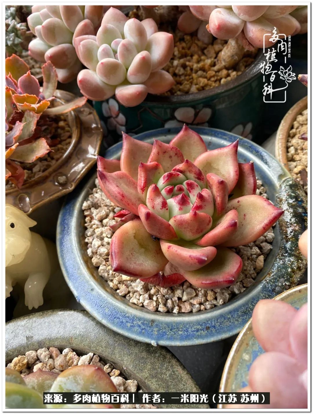 幸福就是珍惜当下所拥有的,珍惜当下所拥有的才是幸福的